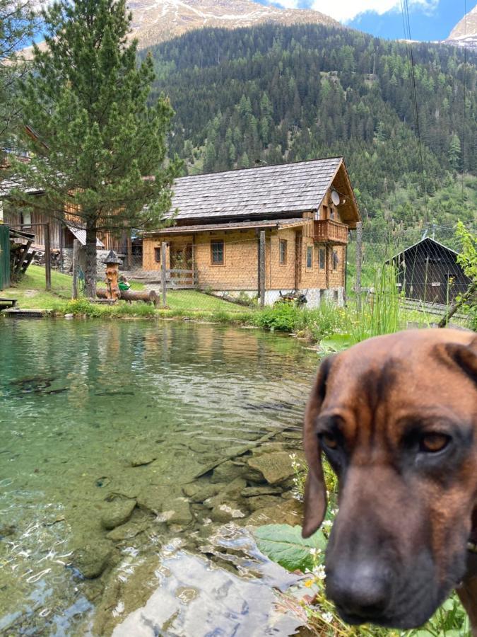 Gletscher Chalet Flattach Eksteriør billede